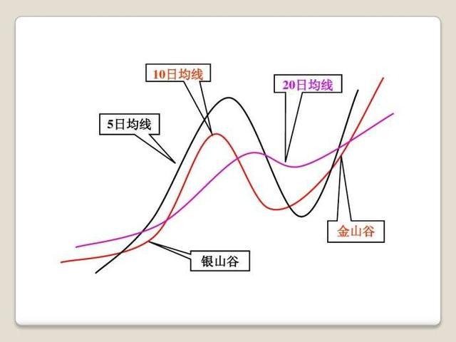 为家乡我愿意｜黄宇宁：珠海这片土地有魔力，要让更多的人在这里被成就