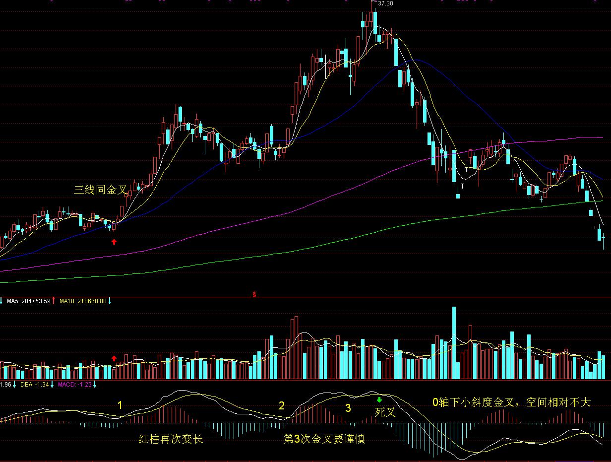 孙颖莎/王曼昱夺得WTT欧洲大满贯瑞典站女双冠军